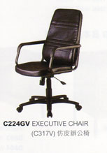 C224GV